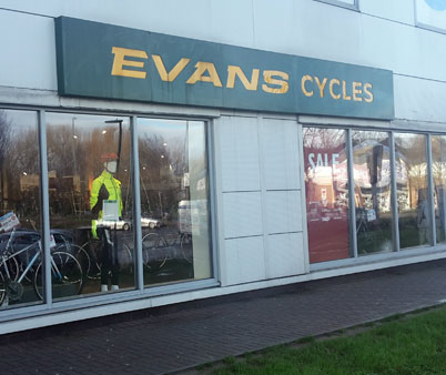 Evans best sale cycles bianchi